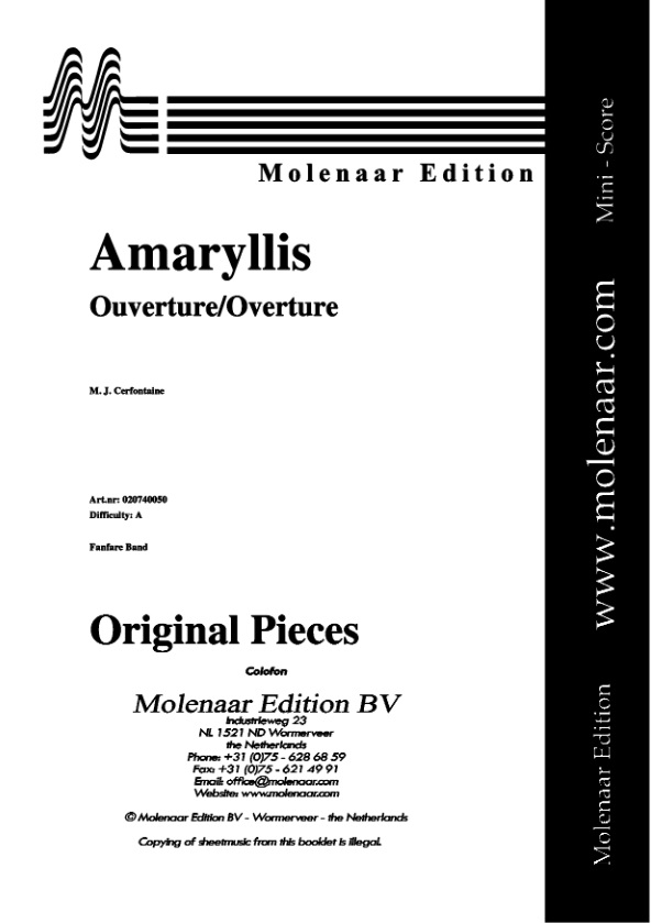 Amaryllis - cliquer ici