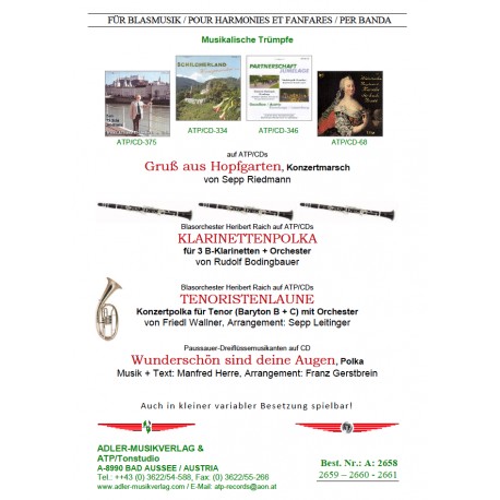 Klarinettenpolka - cliquer ici Klarinettenpolka - cliquer ici