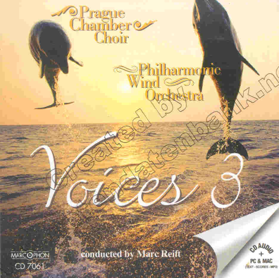 Voices #3 - cliquer ici