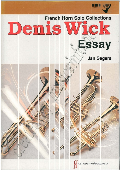 Essay - cliquer ici Essay - cliquer ici